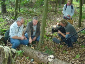 Hier erläutert Ulrich Klein dem Pilzfreund Jochen Schöttker, wie die Nährstoffausnahme beim Rotrandigen Baumschwamm über einen erhöhten Wasserdurchlauf maximiert wird und er deshlab in seiner Wachstumsphase sogenannte Gutationströpfchen absondert.