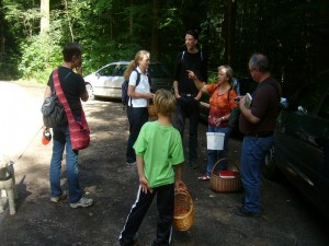 Nach dem Mittag ging es schließlich zur Halbinsel Schefwerder am Schweriner See. Irena Dombrowa führte uns durch dieses kalkhaltige Laubwaldgebiet und bespricht mit uns die Wanderroute.