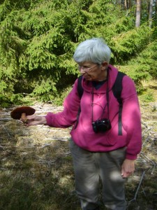 Am 25. September war ich den ganzen Tag mit Pilzfreundin Helga Wölke unterwegs in der Dobbertiner Seenlandschaft. Hier sehen wir sie mit einem Flockenstieligen Hexen - Rährling. Es sollten noch viele weitere folgen.