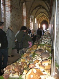 Nachdem der große Ansturm auf unser Speiseangebot abgeflaut war, führte Pilzberaterin Irena Dombrowa interessierte Gäste durch die vielfältige Ausstellung und gab spezielle Tips über die richtige Verwertbarkeit der unterschiedlichen Speisepilze und ging natürlich auch auf ihre giftigen Doppelgänger ein. Die große Pilzschau ist auch morgen noch in der Zeit zwischen 10.00 und 16.00 Uhr zu besichtigen. 13.10.2012.