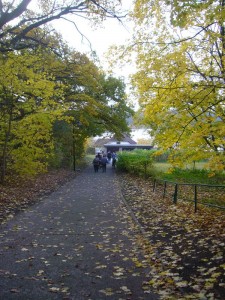 Dann ging es von Godern hinunter zum Wanderweg am Pinnower See.