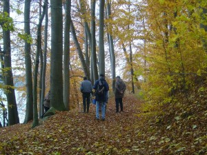 Nach einer kurzen Pause ging es dann weiter auf dem wunderschönen Wanderweg am Pinnower See