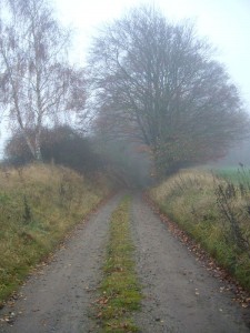 Durch diesen Hohlweg muss er kommen b.z.w. gehen, wenn er die Ortschaft Karnin und das Warnowtal von Kleefeld aus erreichen möchte.