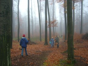 Und weiter geht es durch den nebelgrauen, mystisch - stimmungsvollen Buchenwald bei Gadebusch.