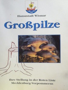 Im Zuge unsere mykofloristischen Kartierungsarbeit erschien in diesem Zusammenhang 1995 auch die Broschüre Großpilze der Hansestadt Wismar. Herausgegeben vom damaligen städtischen Umweltamt unter Federführung von Dr. Rainer Podelleck und den Autoren Krakow/Schwik/Westphal. Sie ist gegen eine Schutzgebühr von 2,00 € im Steinpilz - Wismar erhältlich.