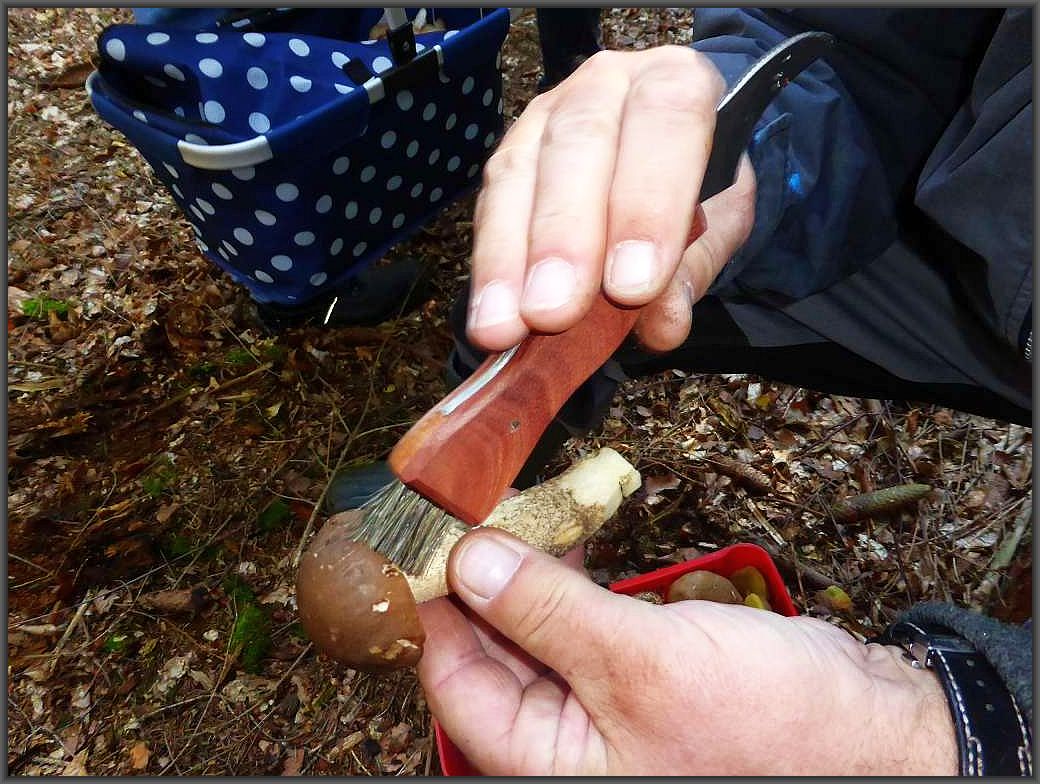 Auch ein professionelles Pilzmesser mit Bürste ist empfehlenswert und die Pilze können gleich vor Ort von Sand, Nadeln und anderen Verschmutzungen gereinigt werden.
