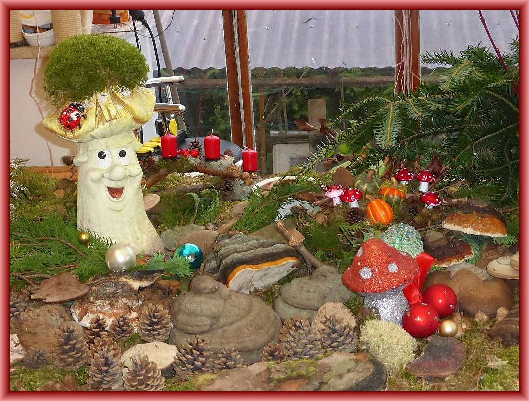 Zur begrüßung der Gäste war auf der Veranda eine kleine Pilzausstellung mit weihnachtlichen Akzenten aufgebaut.