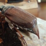 k-IMG_20240501_092959