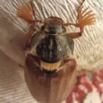 k-IMG_20240505_000807