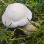 k-IMG_20250421_173258