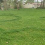 k-IMG_20250421_173510