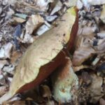 k-IMG_20250519_183201