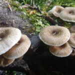 k-IMG_20250520_181037