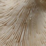 k-IMG_20250520_221536