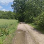 k-IMG_20250524_130435