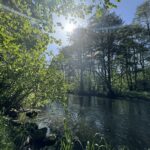 k-IMG_3106